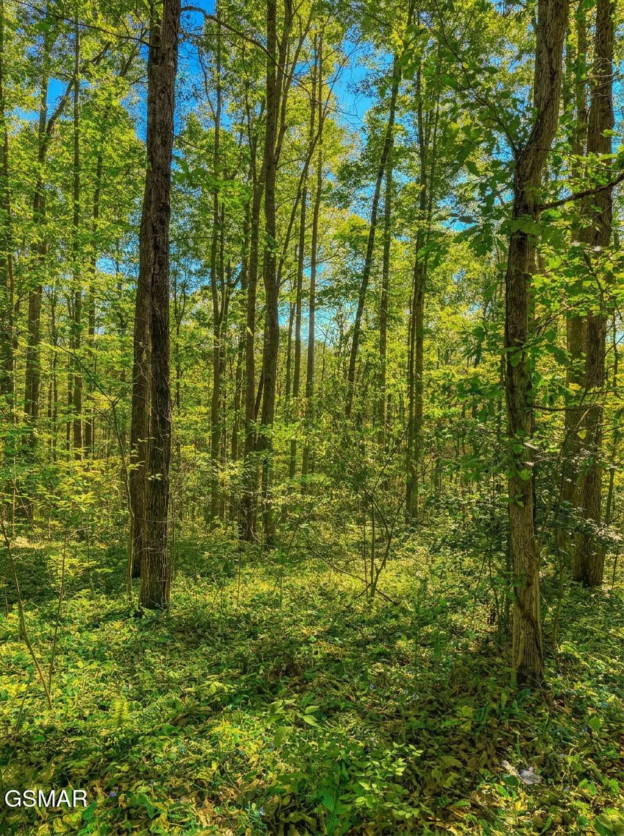 1413 Timber Trail Newport, TN 37821