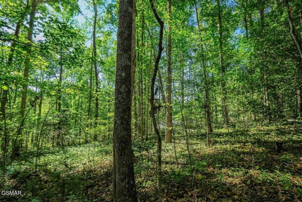 1413 Timber Trail Newport, TN 37821