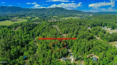 1413 Timber Trail