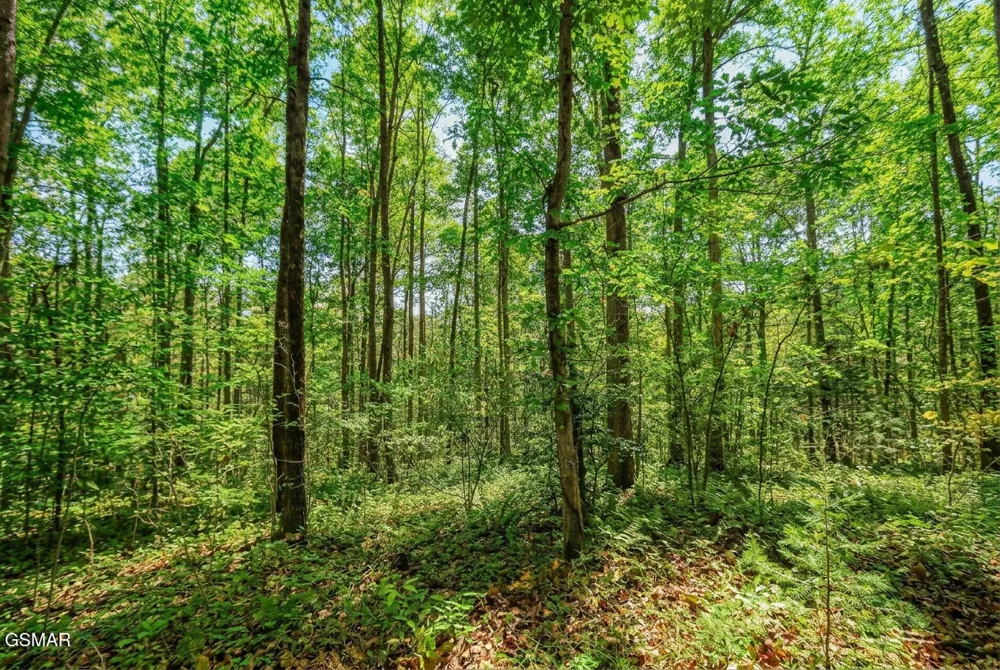1413 Timber Trail Newport, TN 37821
