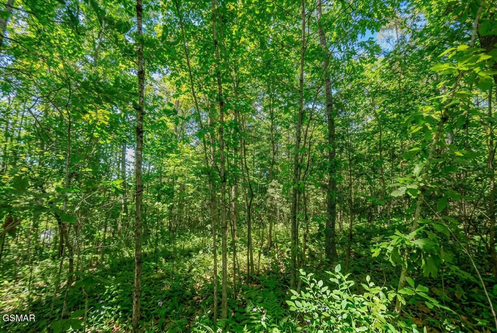 1413 Timber Trail Newport, TN 37821