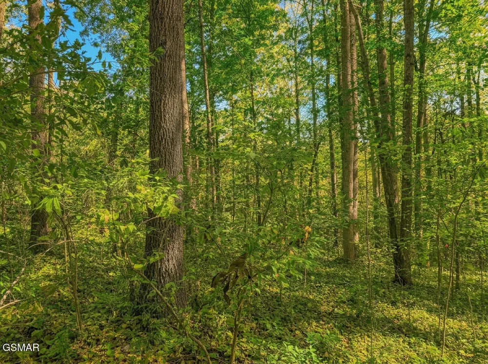 1413 Timber Trail Newport, TN 37821