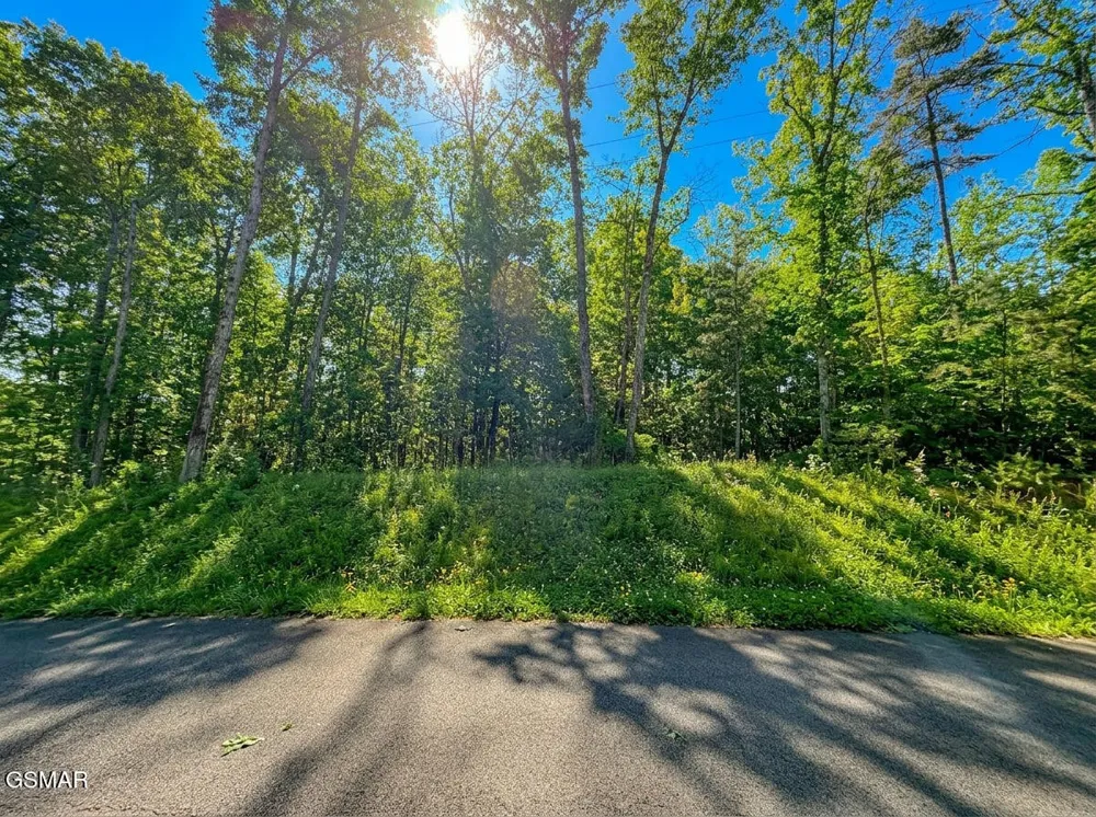 1413 Timber Trail Newport, TN 37821