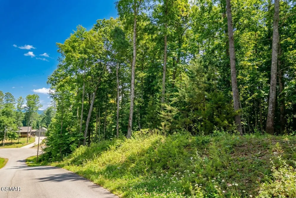 1413 Timber Trail Newport, TN 37821