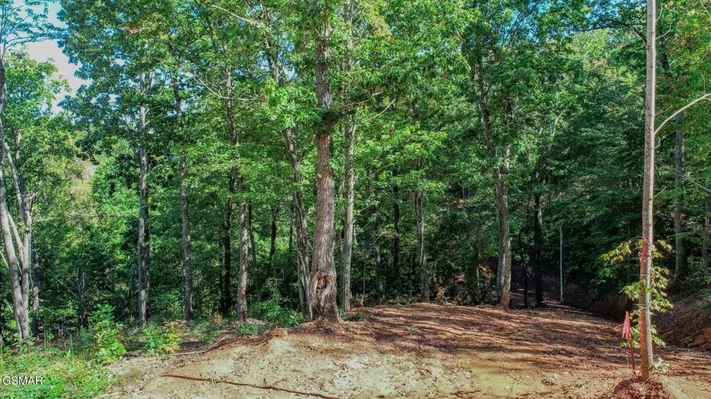 113 Huffman Way Newport, TN 37821