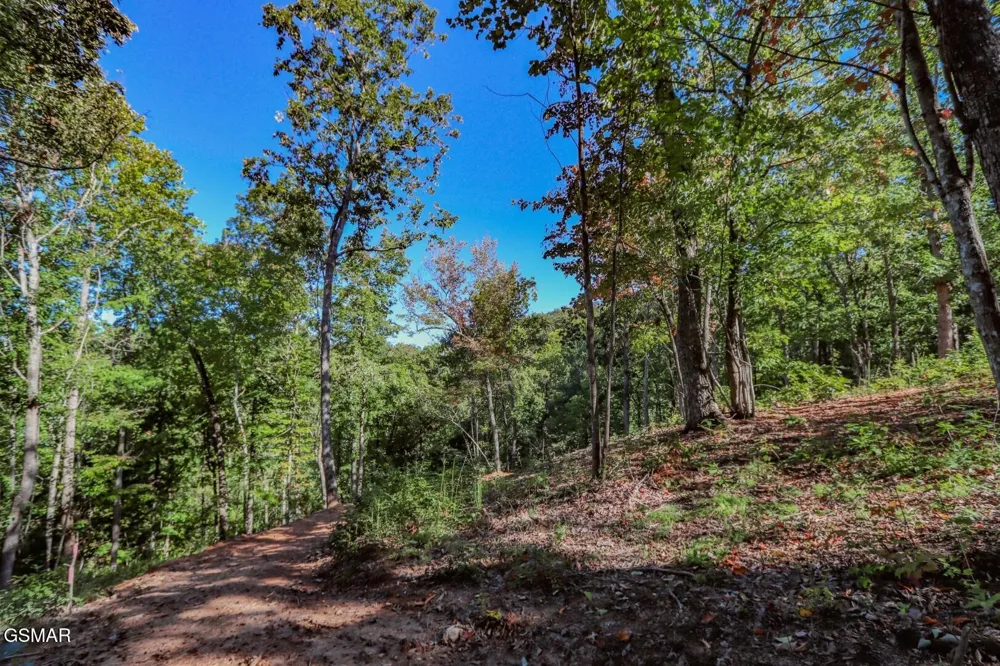 113 Huffman Way Newport, TN 37821