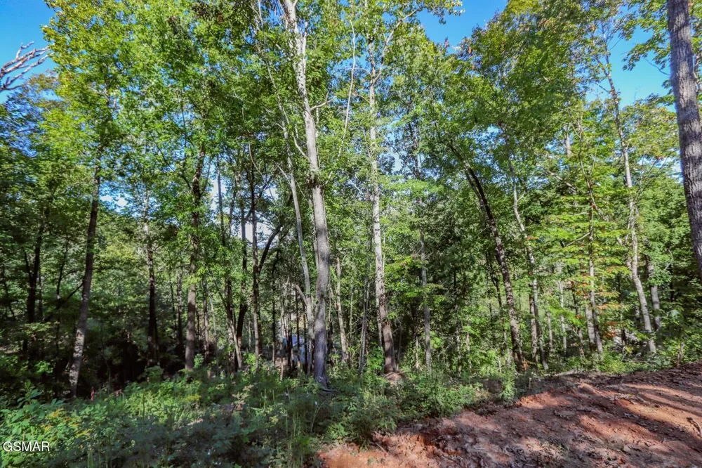 113 Huffman Way Newport, TN 37821