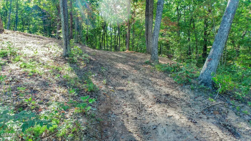 113 Huffman Way Newport, TN 37821
