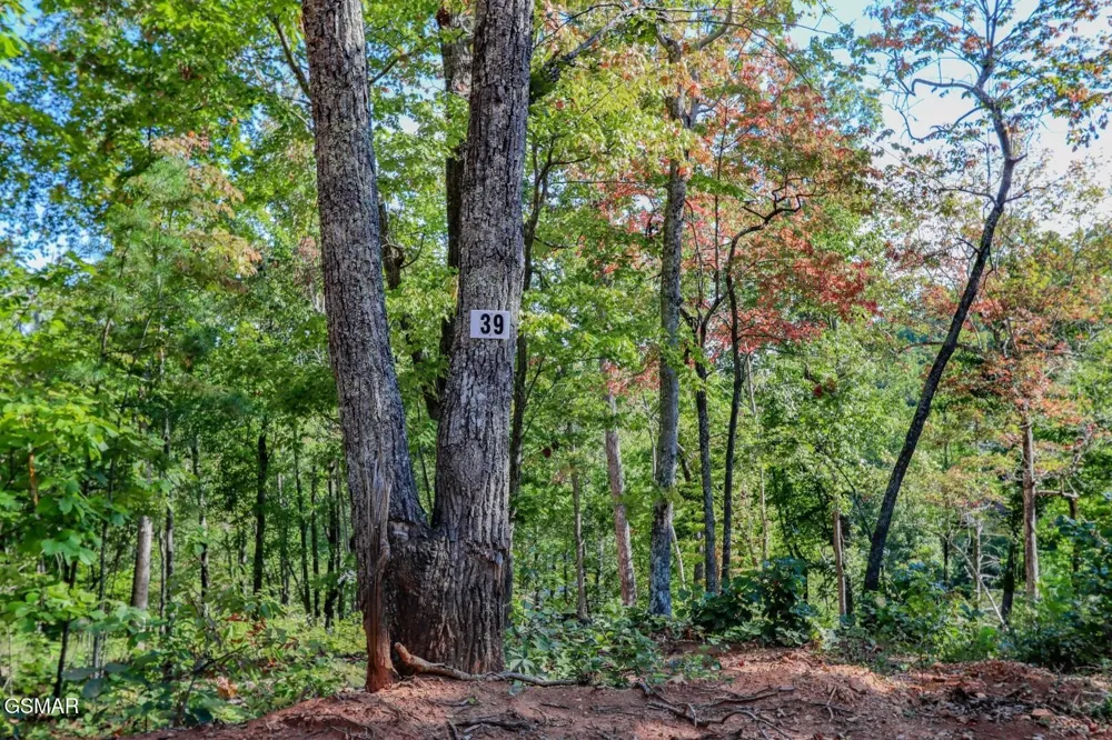113 Huffman Way Newport, TN 37821