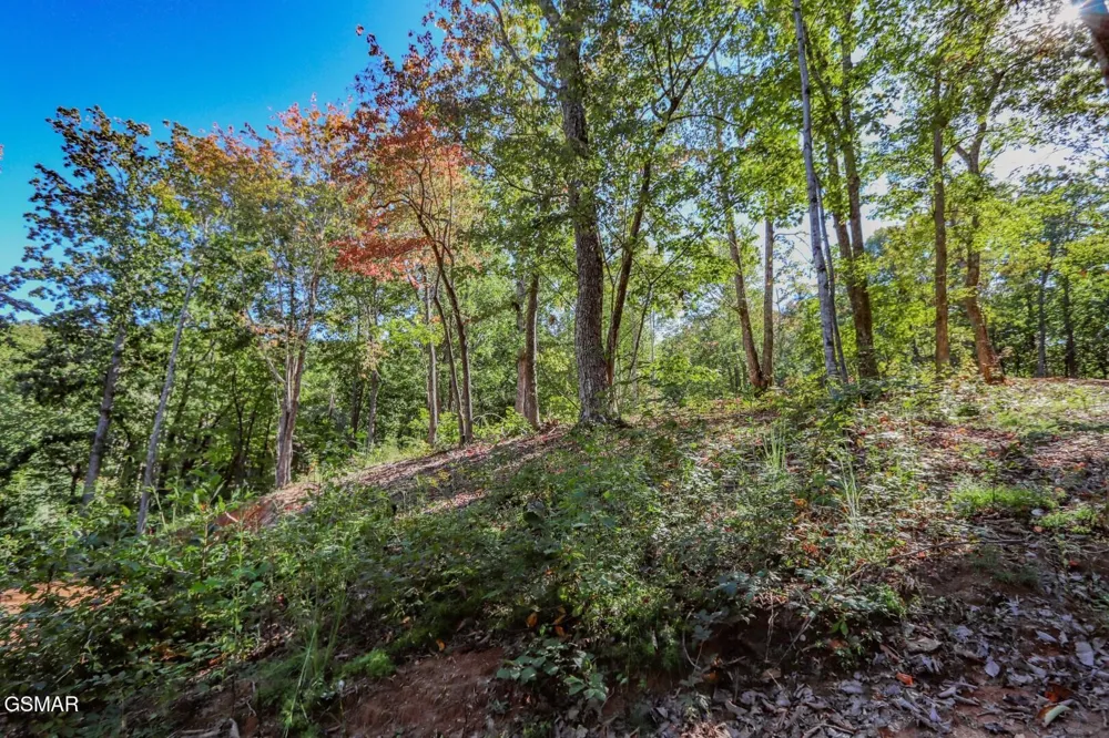 113 Huffman Way Newport, TN 37821