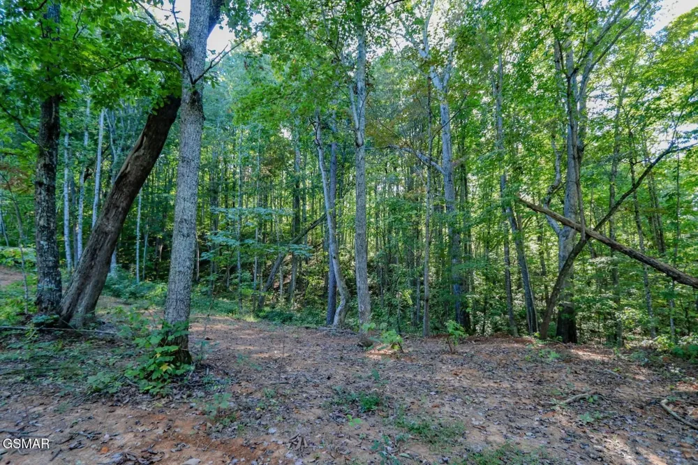 142 Delicious Way Newport, TN 37821
