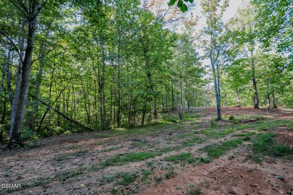 142 Delicious Way Newport, TN 37821