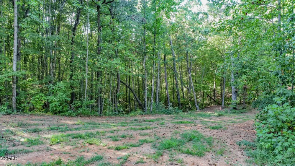 142 Delicious Way Newport, TN 37821