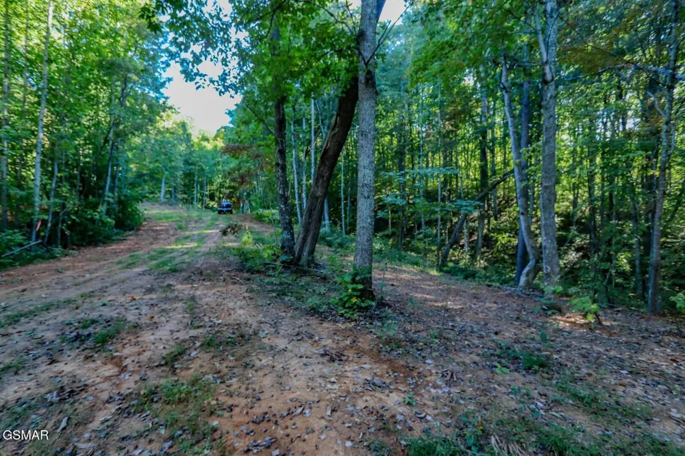 142 Delicious Way Newport, TN 37821