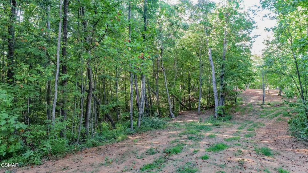 142 Delicious Way Newport, TN 37821