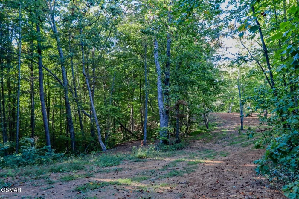 142 Delicious Way Newport, TN 37821