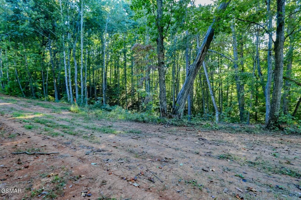 142 Delicious Way Newport, TN 37821