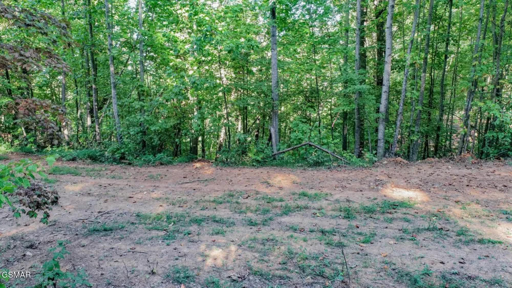 142 Delicious Way Newport, TN 37821