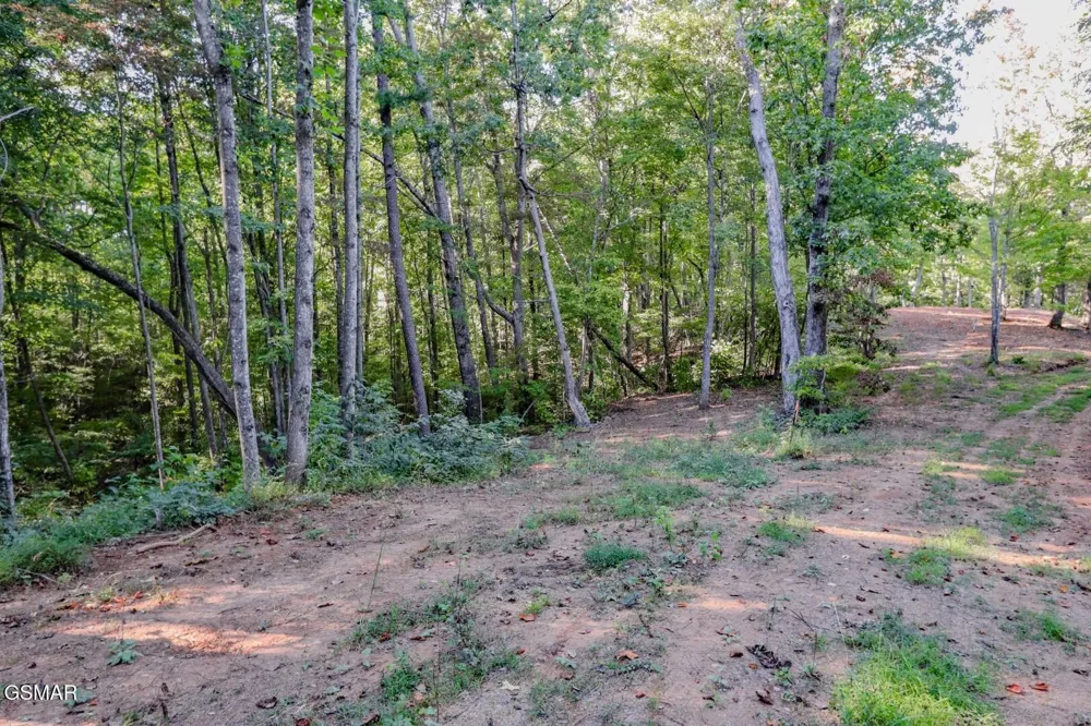 142 Delicious Way Newport, TN 37821