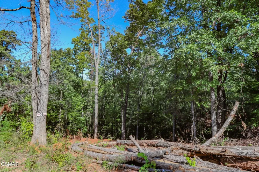 1282 Applewood Rd Newport, TN 37821