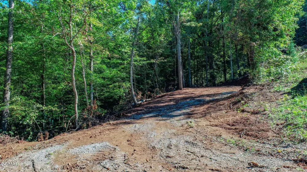 1282 Applewood Rd Newport, TN 37821