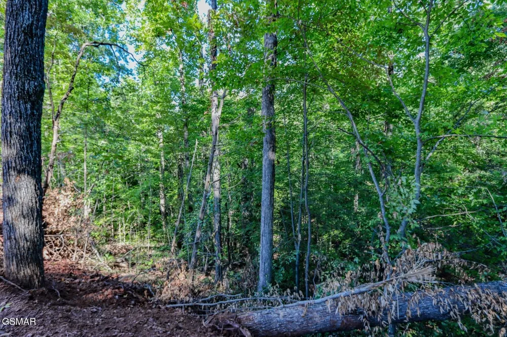 1282 Applewood Rd Newport, TN 37821