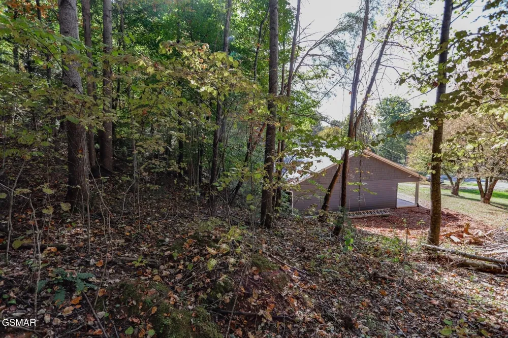 0 Piney Mtn Rd Newport, TN 37821