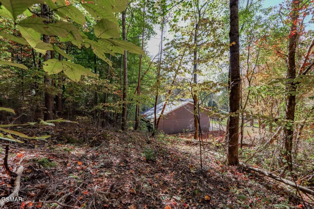 0 Piney Mtn Rd Newport, TN 37821