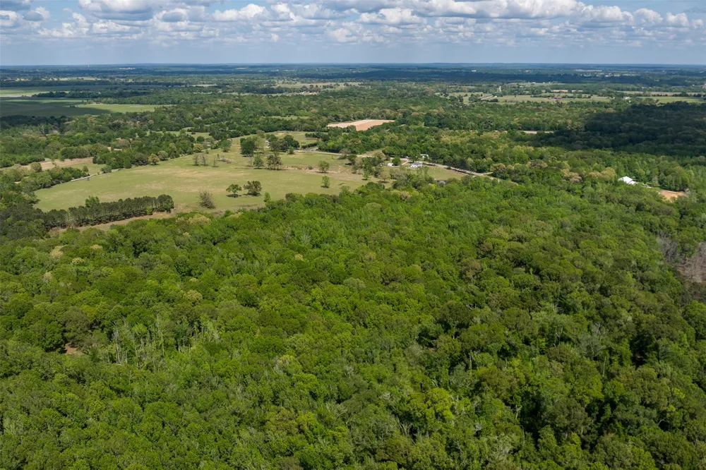 3672 E FM 1861 Athens, TX 75752