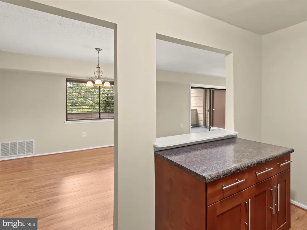 7 WINDBLOWN COURT #201 Baltimore, MD 21209