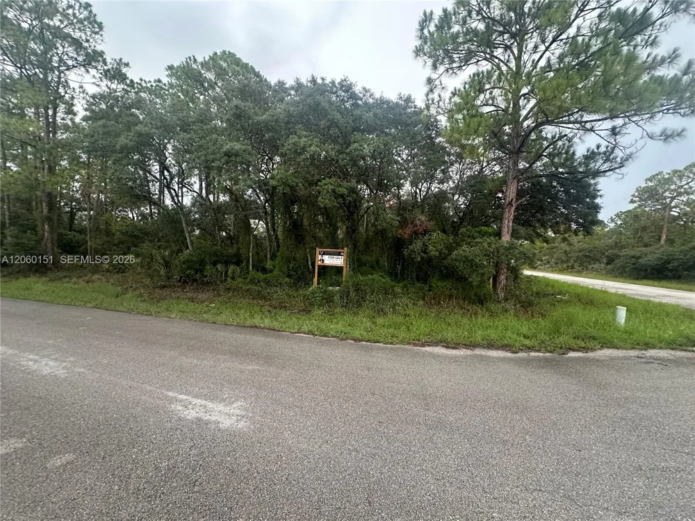 3362 Gossamer Ave Lake Placid, FL 33852