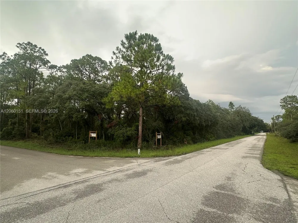 3362 Gossamer Ave Lake Placid, FL 33852