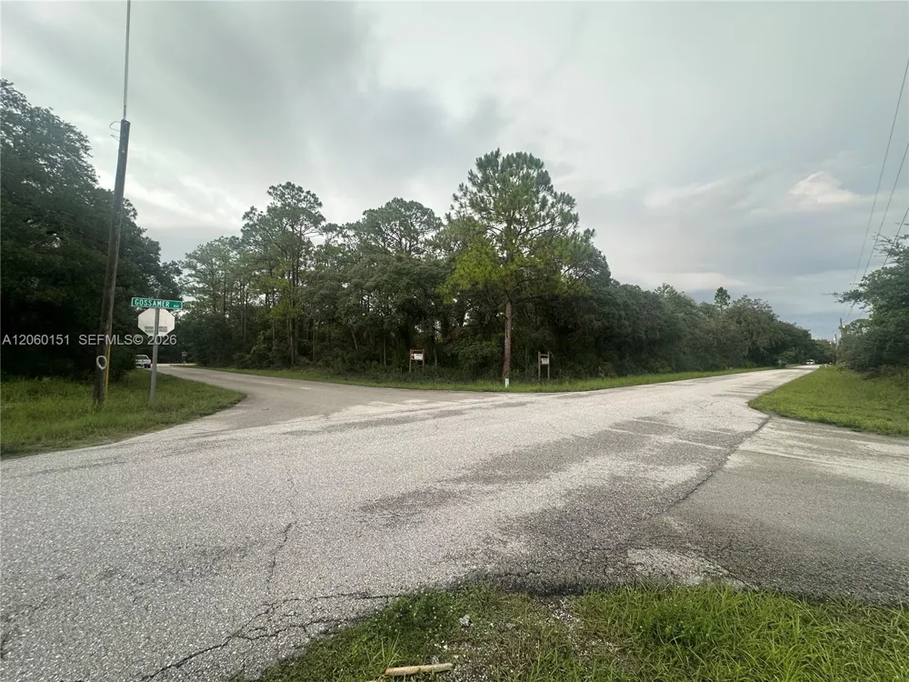 3362 Gossamer Ave Lake Placid, FL 33852