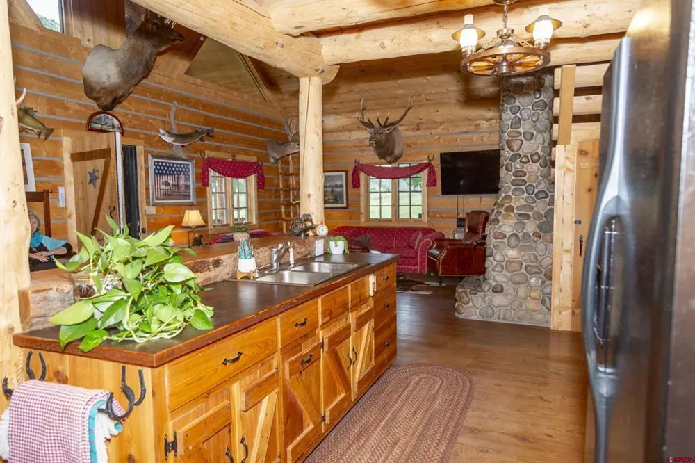 2150 USFS 521 ROAD #18A Creede, CO 81130