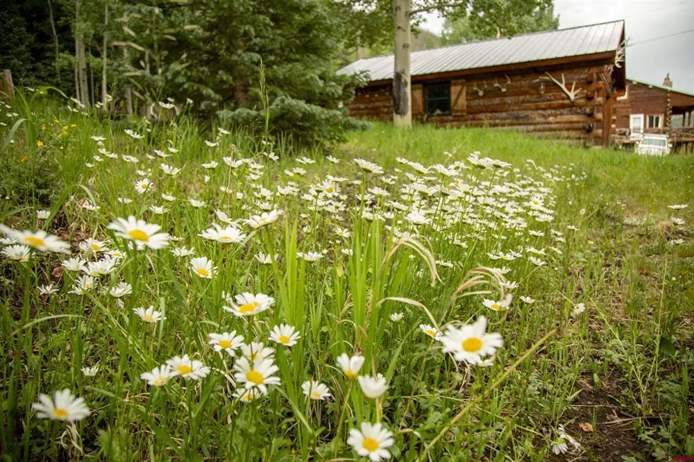 2150 USFS 521 ROAD #18A Creede, CO 81130