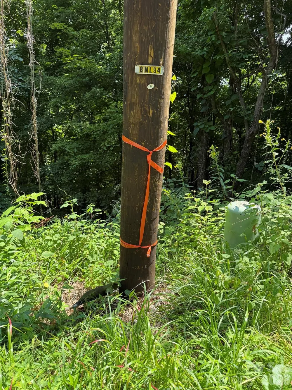 0000 Chimney Ridge Trail Waynesville, NC 28786
