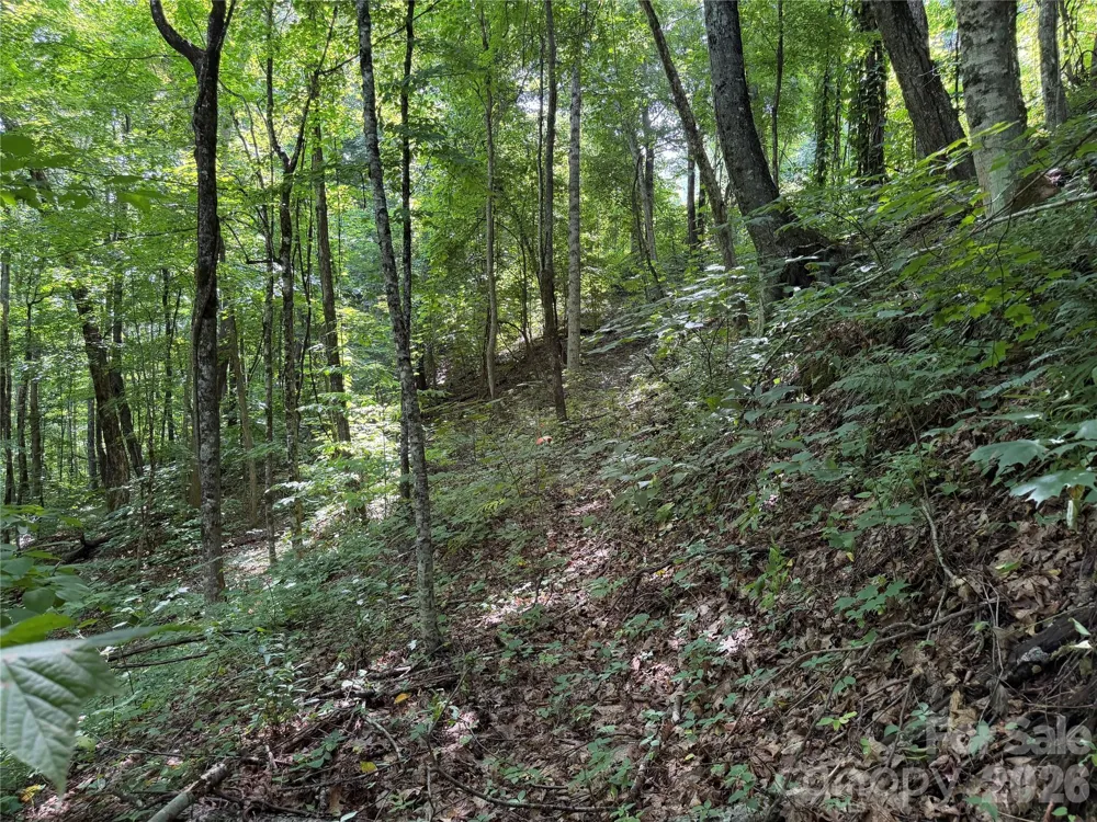 0000 Chimney Ridge Trail Waynesville, NC 28786