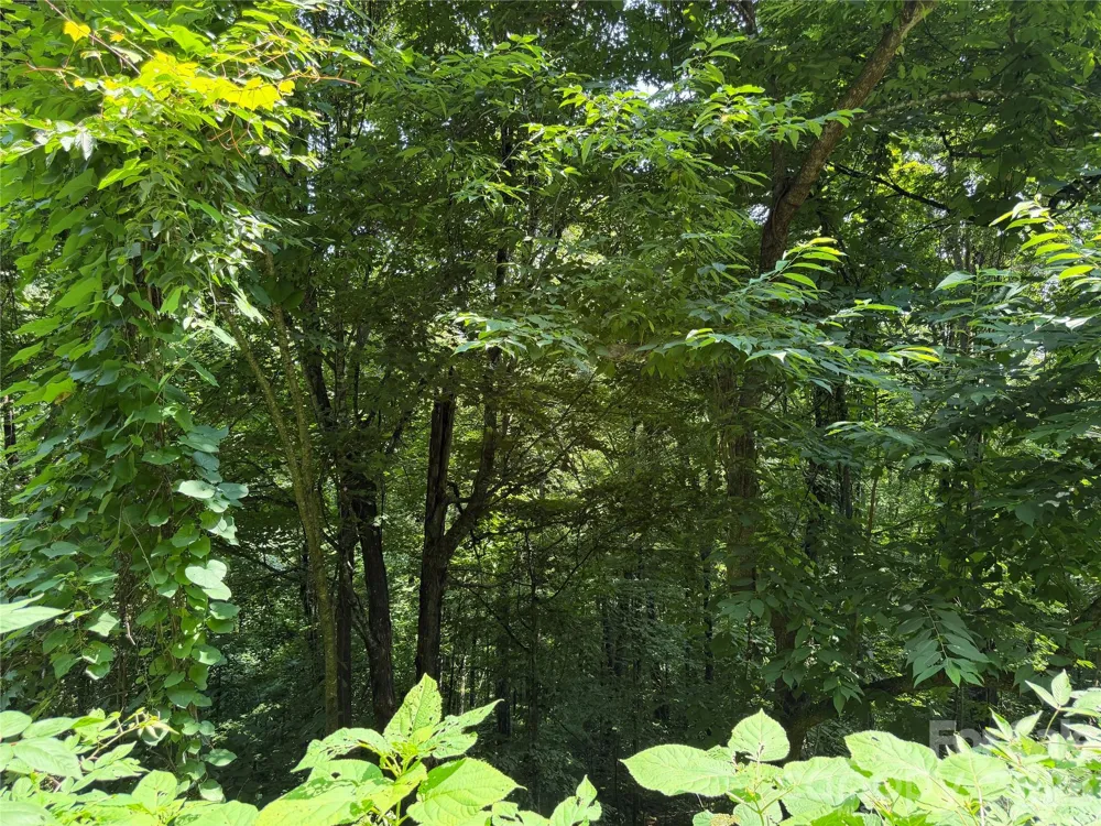0000 Chimney Ridge Trail Waynesville, NC 28786