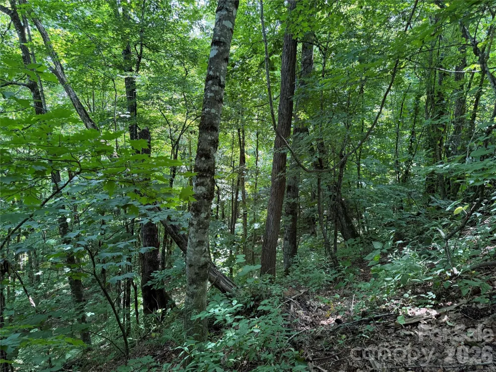 0000 Chimney Ridge Trail Waynesville, NC 28786