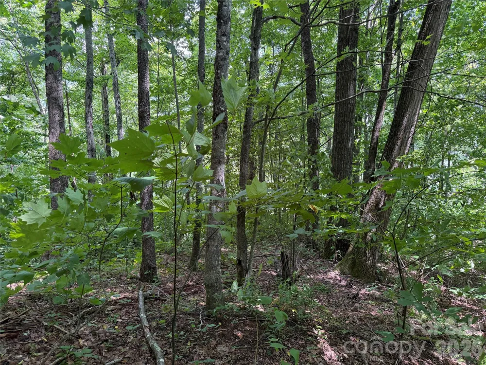 0000 Chimney Ridge Trail Waynesville, NC 28786