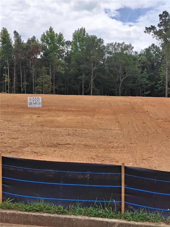 1022 Queens Bridge Way Griffin, GA 30223