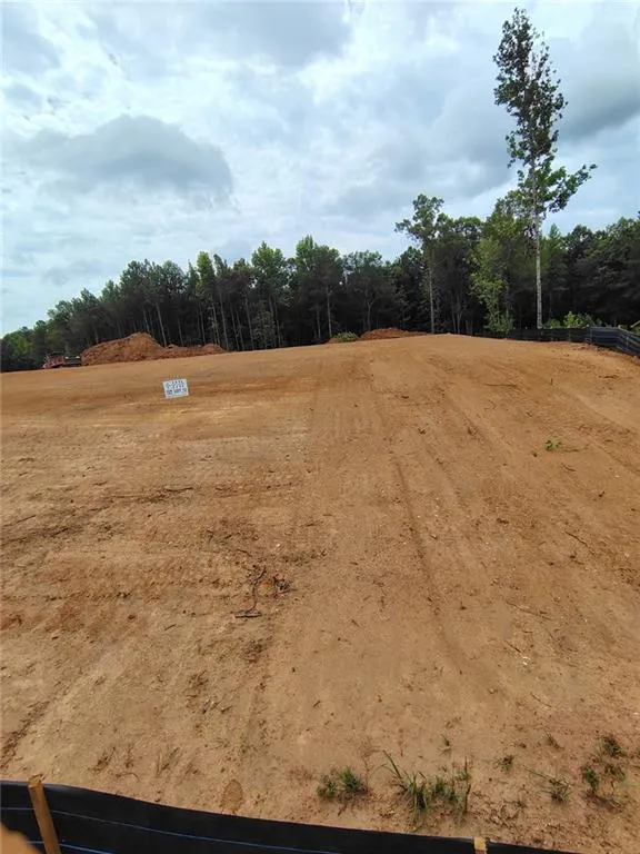 1022 Queens Bridge Way Griffin, GA 30223