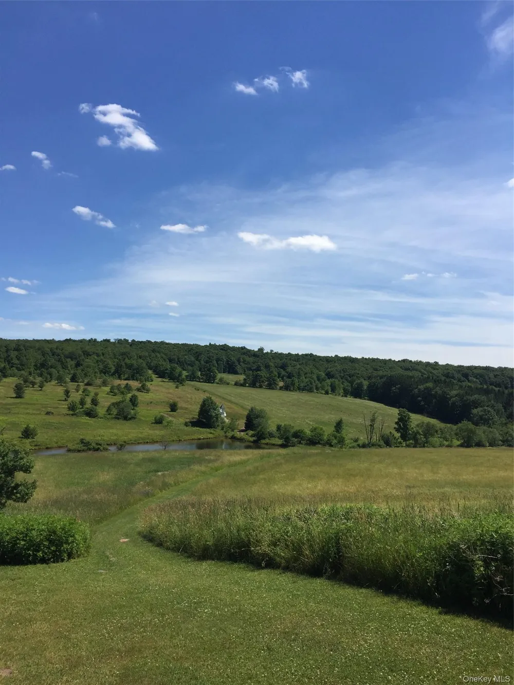 2614 Turnpike Road East Meredith, NY 13757