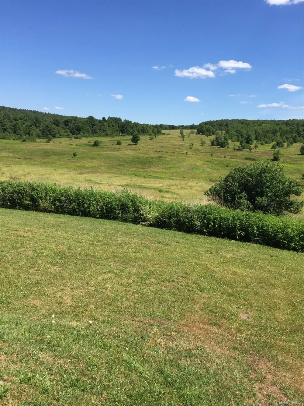 2614 Turnpike Road East Meredith, NY 13757