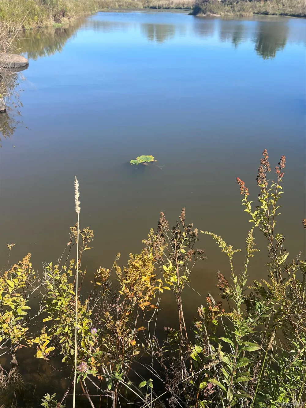 2614 Turnpike Road East Meredith, NY 13757