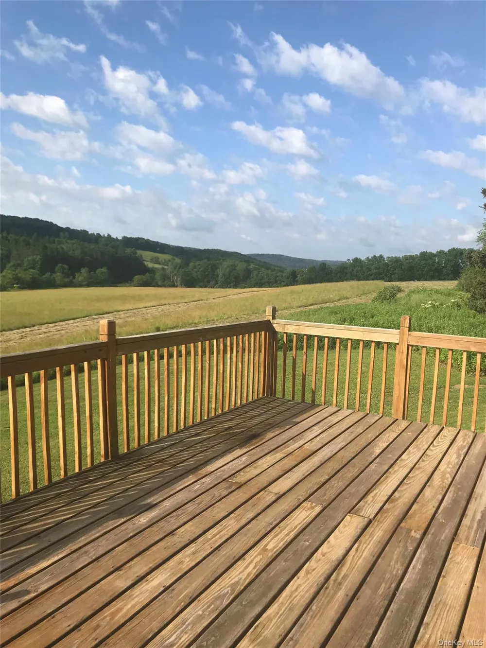 2614 Turnpike Road East Meredith, NY 13757
