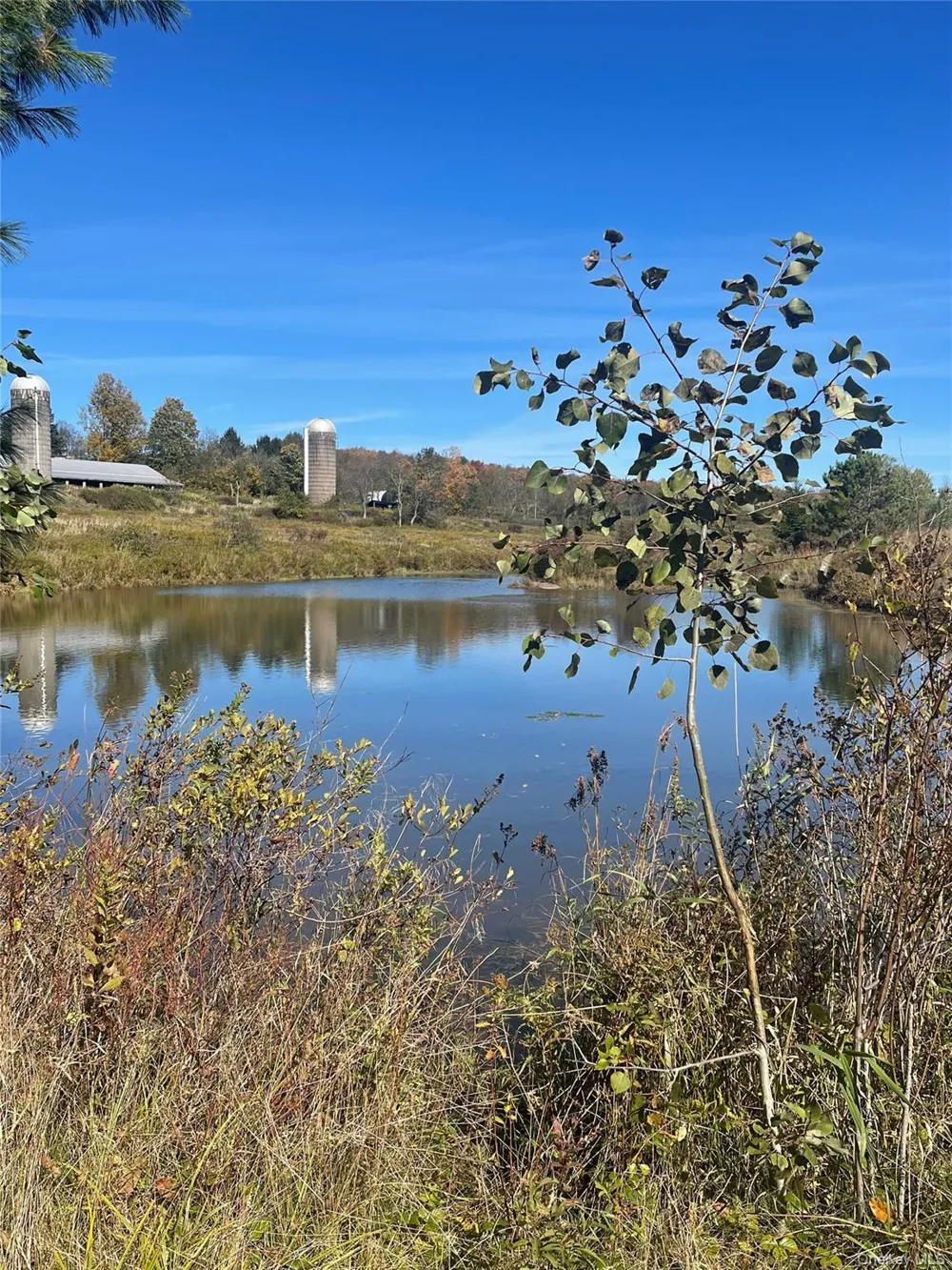 2614 Turnpike Road East Meredith, NY 13757