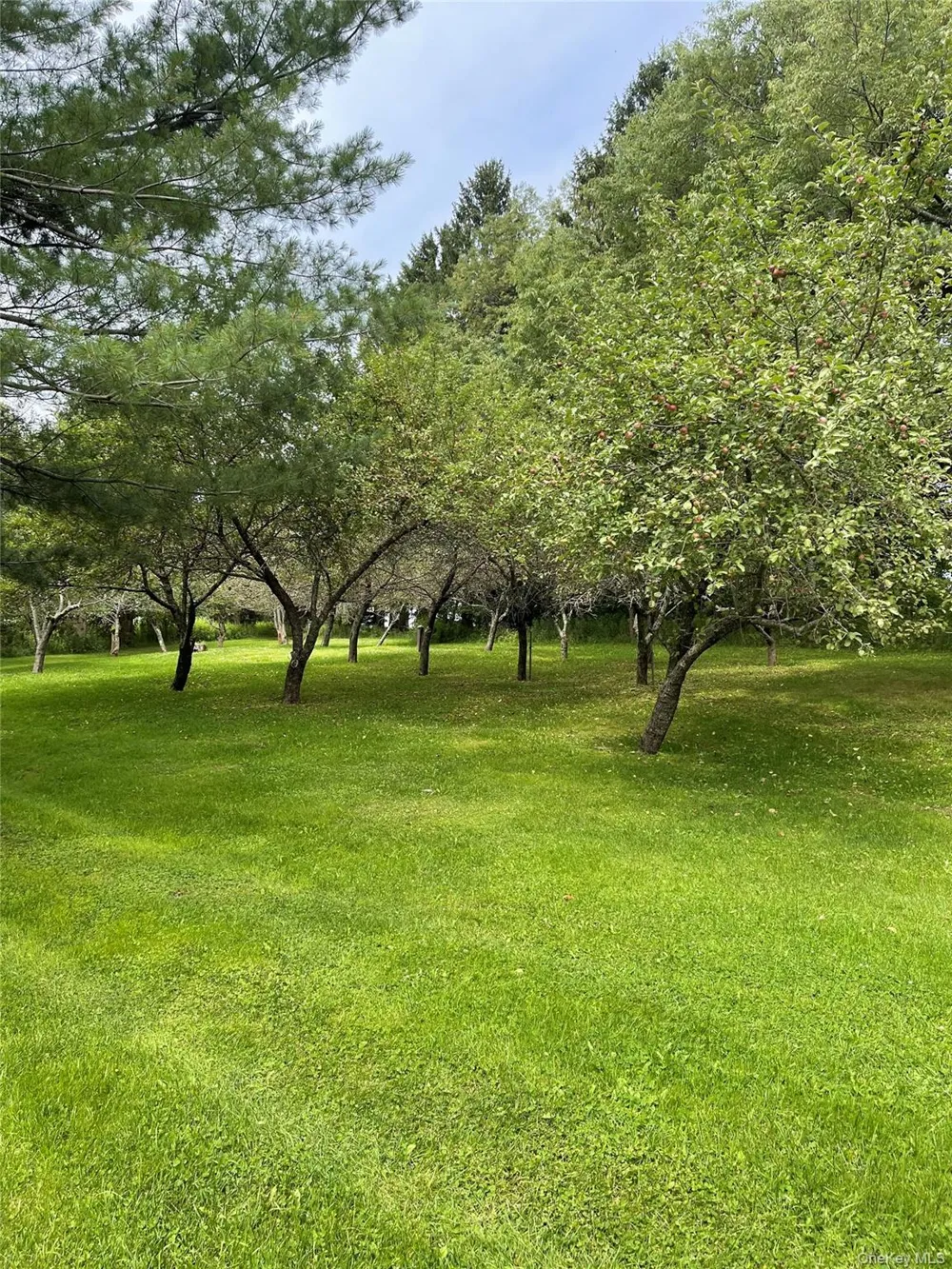 2614 Turnpike Road East Meredith, NY 13757