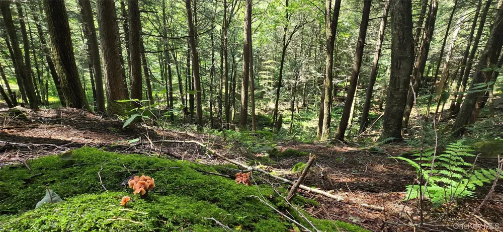 2735 Denning Road Claryville, NY 12725