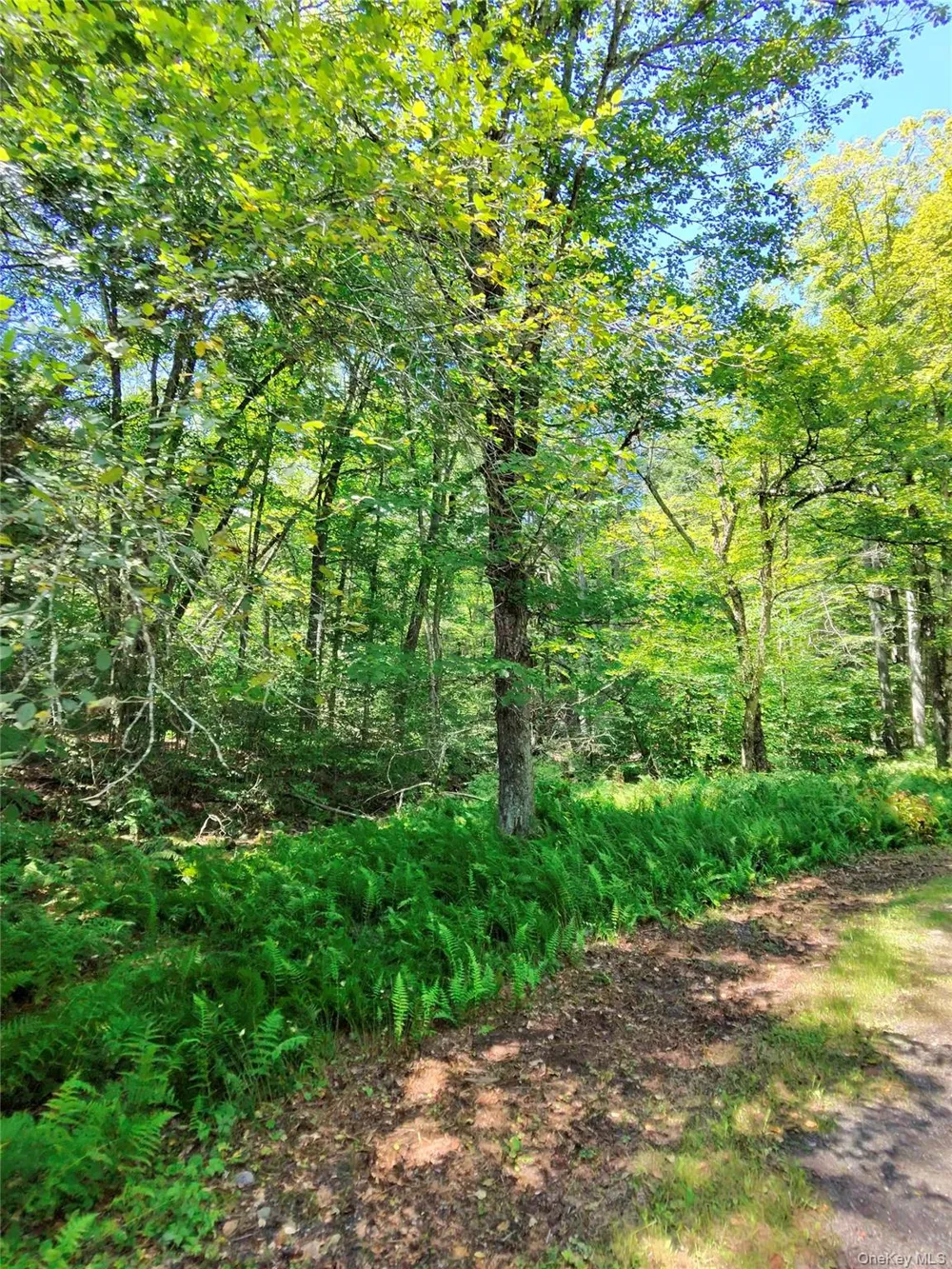 2735 Denning Road Claryville, NY 12725